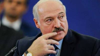 Лукашенко пожелал Украине «благоразумия» в мире, где «доминирует глобальное недоверие»