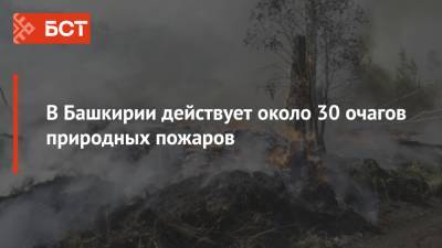 В Башкирии действует около 30 очагов природных пожаров