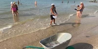 В Кирилловке туристам запретили выносить медуз на берег: названа причина