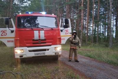 В Порховском районе в лесу заблудился пожилой мужчина
