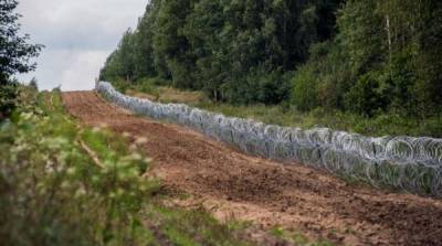 Дело не в мигрантах: политолог назвал причину строительства забора между Польшей и Белоруссией