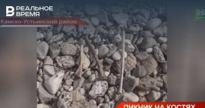 В Камском Устье рядом с зоной отдыха обнаружили кости — видео
