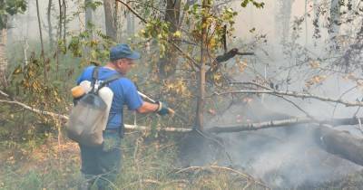 Спасатели продолжают борьбу с лесными пожарами в Свердловской области