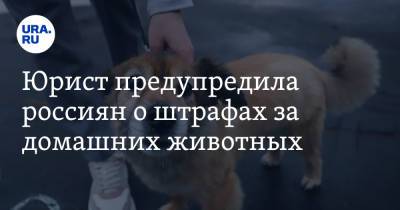 Юрист предупредила россиян о штрафах за домашних животных