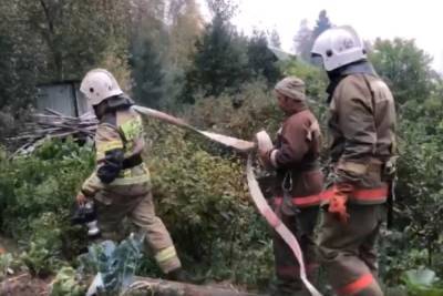 Пожарные защитили от огня сады и завод около горы Волчихи