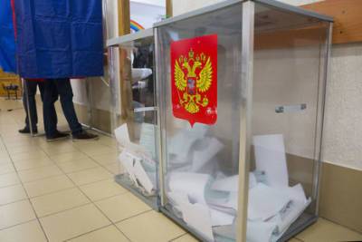 Координационная группа из чиновников поможет на выборах в Петербурге