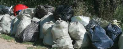 За три часа добровольцы Бердска собрали на пляже 37 мешков мусора
