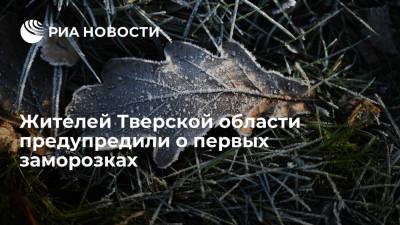 Глава Гидрометцентра Вильфанд: в Тверской области ночью ожидается понижение температуры до минусовой