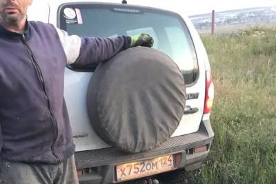 Полиция проверяет жителя Красноярского края, который возил труп собаки по дороге