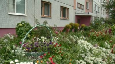 Цветоводы украсили двор у дома № 2 на улице Лядова