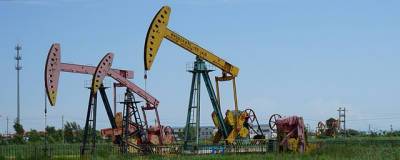 В Китае обнаружено крупное месторождение сланцевой нефти