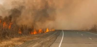 В Катангском районе Иркутской области осталось потушить 12 лесных пожаров