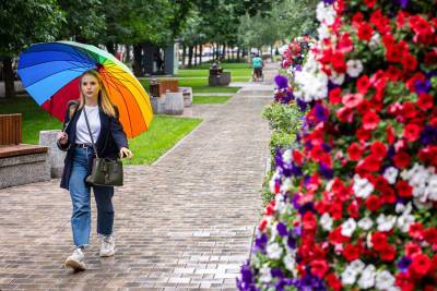 Москвичей предупредили о небольшом дожде в среду
