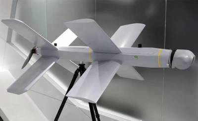 Названы сроки начала государственных испытаний дронов-«камикадзе» «Ланцет»