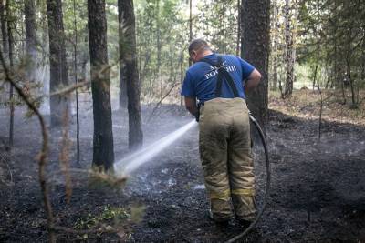 В Свердловской области площадь пожаров выросла еще в два раза — до 6032 гектаров