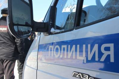 В Липецкой области арестовали и оштрафовали водителя, сбившего ребенка