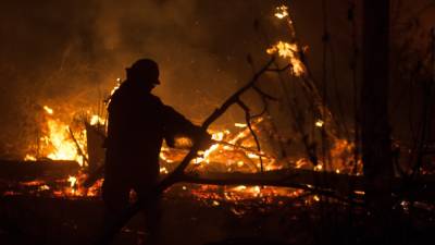 Спасатели и военные вырвались из огненного кольца в Мордовском заповеднике