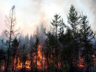 Федеральную трассу Пермь — Екатеринбург перекрыли из-за лесного пожара