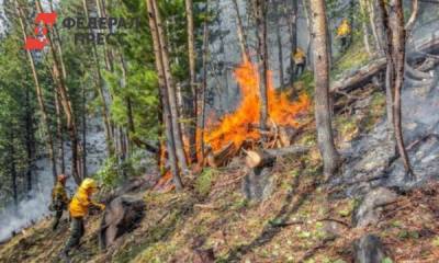 За сутки в тюменских лесах потушили 10 пожаров