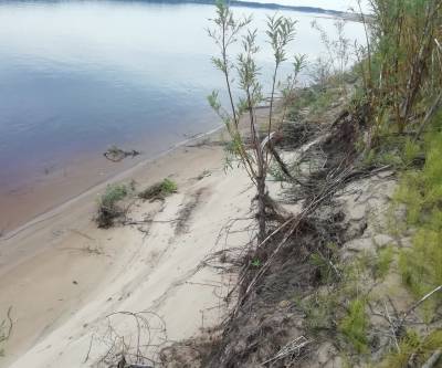 Всероссийское общество охраны природы не обнаружило следов нефти в реках Колва и Печора