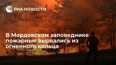 В Мордовском заповеднике пожарные вырвались из огненного кольца, люди и техника были эвакуированы