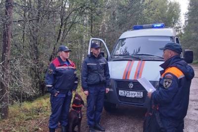 За сутки в псковских лесах потерялись 4 человека