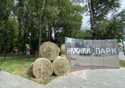 В Липецке выступили против строительства спортивного центра в Нижнем парке