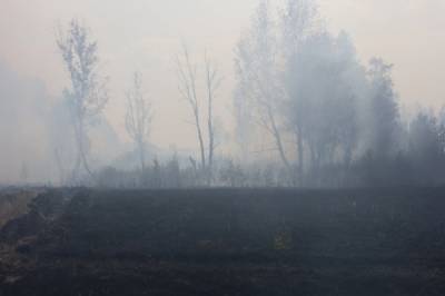 В Челябинской области продолжает действовать три лесных пожара