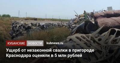 Ущерб от незаконной свалки в пригороде Краснодара оценили в 5 млн рублей