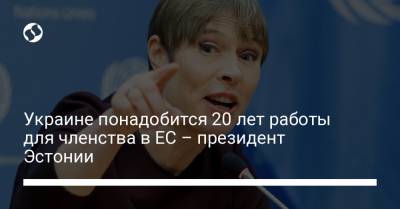 Украине понадобится 20 лет работы для членства в ЕС – президент Эстонии
