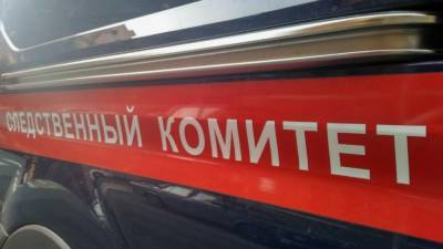 Металлическая сфера упала на голову четырехлетней девочки в Иркутске