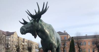 В Гусеве почти за 5 млн рублей отремонтируют сквер у скульптуры лося