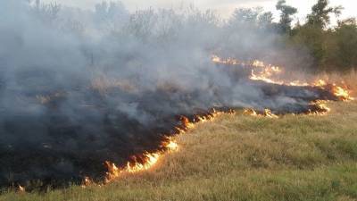 В Ульяновске и двух районах региона тушили сухую траву