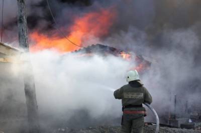 Пожарные выбрались из горящего кольца в Мордовском заповеднике