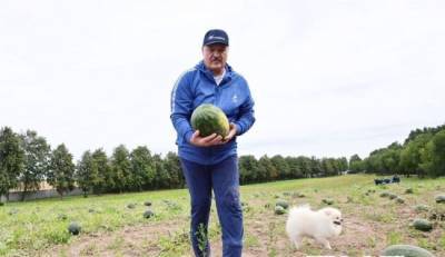 Лукашенко рассказал о своих экспериментах с арбузами и картофелем
