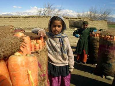 «Голод, засуха, террористы»: в ООН предрекли жителям Афганистана «ад»