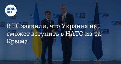 В ЕС заявили, что Украина не сможет вступить в НАТО из-за Крыма