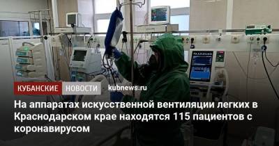 На аппаратах искусственной вентиляции легких в Краснодарском крае находятся 115 пациентов с коронавирусом