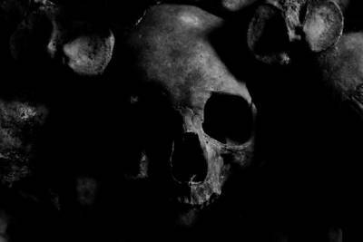 Человеческие череп, кости и позвоночник обнаружены возле Колчаново