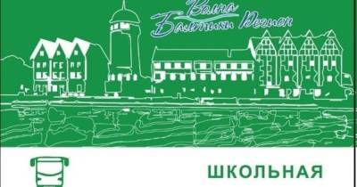 С сентября в МФЦ начнут выдавать студенческую и школьную «Волну Балтики» для поездок по области