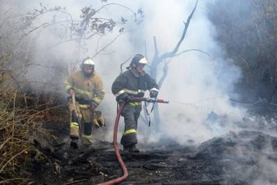 В Старожиловском районе в посёлке Рязанские сады сгорела хозпостройка