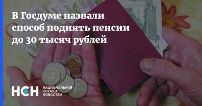 В Госдуме назвали способ поднять пенсии до 30 тысяч рублей