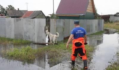 Разлившийся Амур затопил 43 поселения в Хабаровском крае