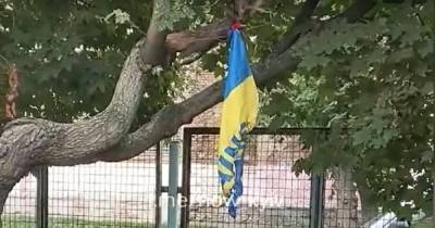 В Киеве подростки сожгли флаг Украины (ВИДЕО)