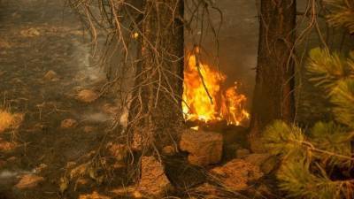 В сети появилось видео с потерявшимися в лесном пожаре в Башкирии добровольцами