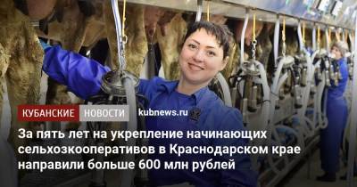 За пять лет на укрепление начинающих сельхозкооперативов в Краснодарском крае направили больше 600 млн рублей