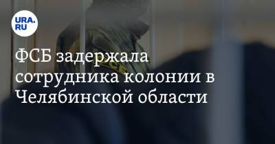ФСБ задержала сотрудника колонии в Челябинской области