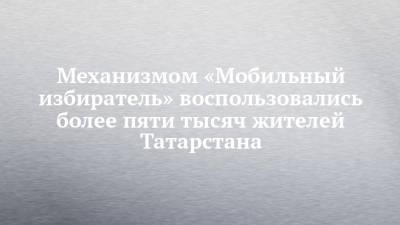 Механизмом «Мобильный избиратель» воспользовались более пяти тысяч жителей Татарстана