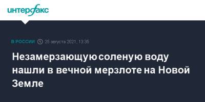 Незамерзающую соленую воду нашли в вечной мерзлоте на Новой Земле