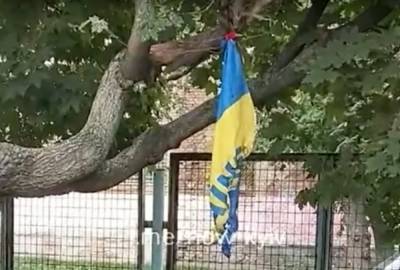 Выбросили и сожгли: школьники надругались над украинским флагом на День Независимости, кадры